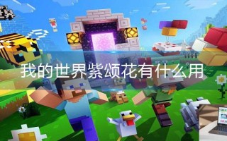 我的世界紫颂花有什么用