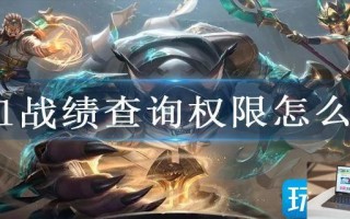 lol战绩查询权限怎么开