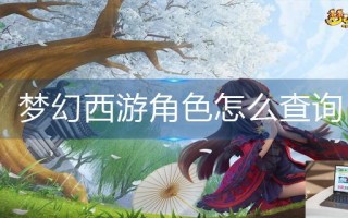 梦幻西游角色怎么查询