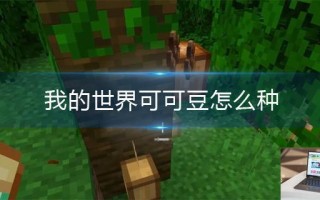 我的世界可可豆怎么种