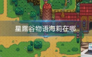星露谷物语海莉在哪