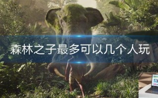 森林之子最多可以几个人玩