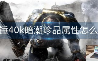 战锤40k暗潮珍品属性怎么选