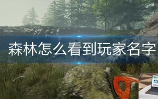 森林怎么看到玩家名字