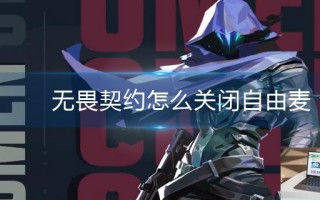 无畏契约怎么关闭自由麦