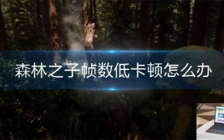 森林之子帧数低卡顿怎么办