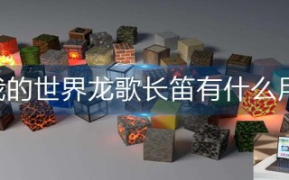 我的世界龙歌长笛有什么用