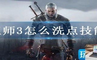 巫师3怎么洗点技能