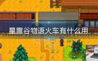 星露谷物语火车有什么用