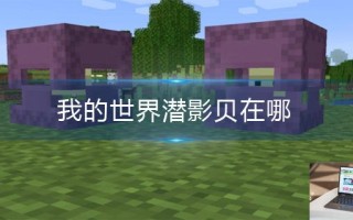 我的世界潜影贝在哪