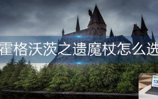 霍格沃茨之遗魔杖怎么选