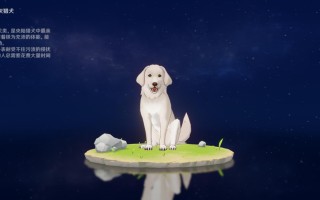 原神亮灰猎犬在哪