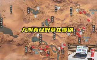九阴真经野草在哪刷 九阴真经野草在哪刷