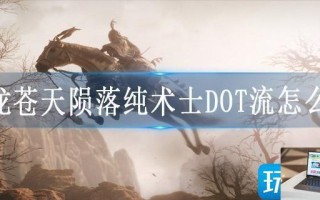 卧龙苍天陨落纯术士DOT流怎么玩