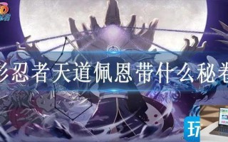 火影忍者天道佩恩带什么秘卷好