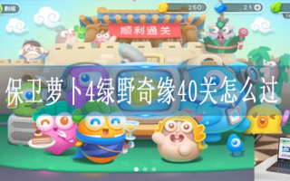 保卫萝卜4绿野奇缘第40关怎么过