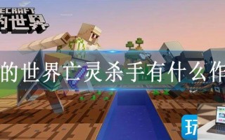 我的世界亡灵杀手有什么作用