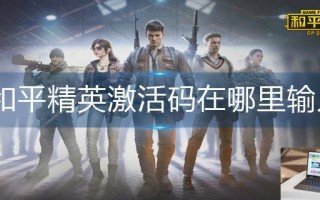 和平精英激活码在哪里输入