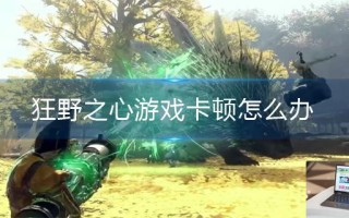 狂野之心游戏卡顿怎么办