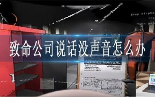致命公司说话没声音怎么办