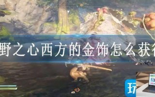 狂野之心西方的金饰怎么获得