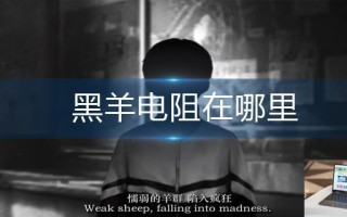黑羊电阻在哪里