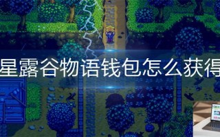 星露谷物语钱包怎么获得
