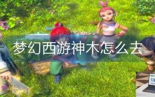 梦幻西游神木怎么去