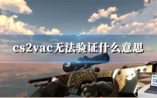 cs2vac无法验证什么意思