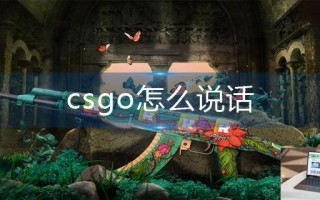 csgo怎么说话