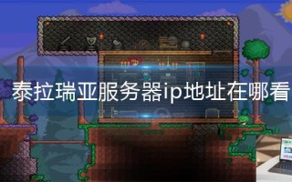 泰拉瑞亚服务器ip地址在哪看