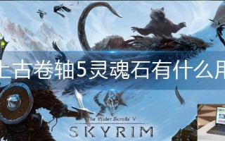 上古卷轴5灵魂石有什么用