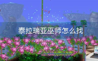 泰拉瑞亚巫师怎么找