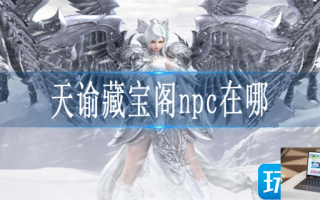 天谕藏宝阁npc在哪
