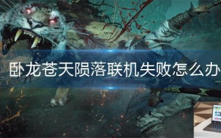 卧龙苍天陨落联机失败怎么办