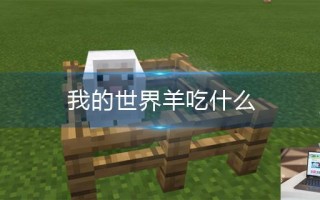 我的世界羊吃什么