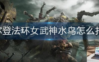艾尔登法环女武神水鸟怎么打断