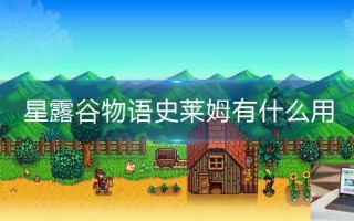 星露谷物语史莱姆有什么用