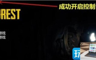 森林之子作弊码输入不了怎么回事