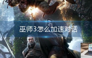 巫师3怎么加速对话