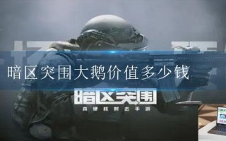 暗区突围大鹅价值多少钱 暗区突围大鹅价值多少钱