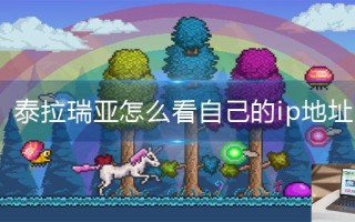 泰拉瑞亚怎么看自己的ip地址