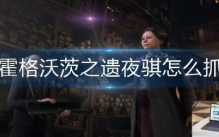 霍格沃茨之遗夜骐怎么抓