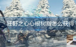 狂野之心心根树脂怎么获得