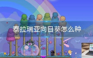 泰拉瑞亚向日葵怎么种