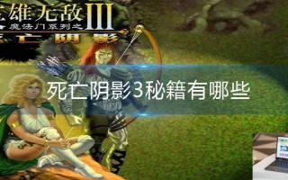 死亡阴影3秘籍有哪些