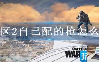 战区2自己配的枪怎么玩