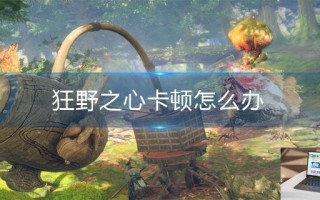狂野之心卡顿怎么办