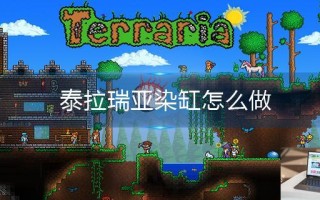 泰拉瑞亚染缸怎么做