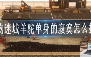 动物迷城羊驼单身的寂寞怎么排解
